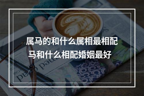 属马的和什么属相最相配 马和什么相配婚姻最好