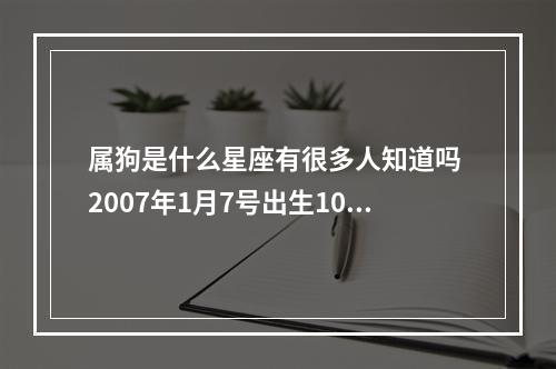 属狗是什么星座有很多人知道吗 2007年1月7号出生10岁男生属狗的是啥星座