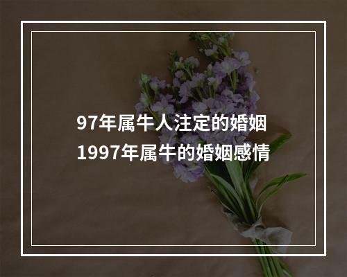 97年属牛人注定的婚姻 1997年属牛的婚姻感情