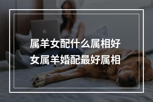 属羊女配什么属相好 女属羊婚配最好属相