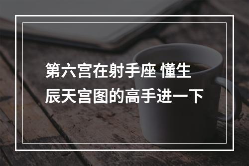 第六宫在射手座 懂生辰天宫图的高手进一下