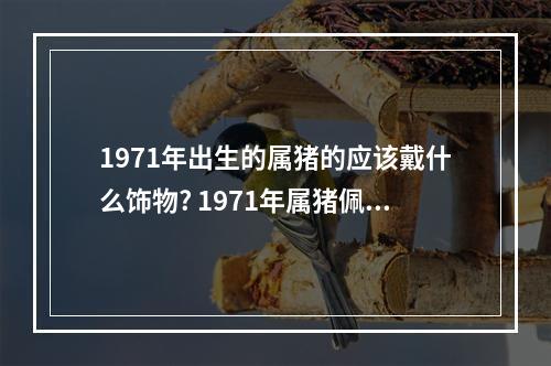1971年出生的属猪的应该戴什么饰物? 1971年属猪佩戴什么玉
