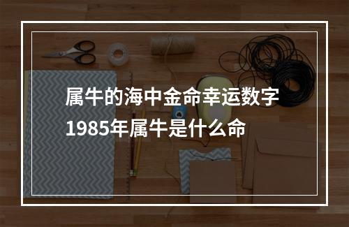 属牛的海中金命幸运数字 1985年属牛是什么命