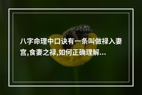 八字命理中口诀有一条叫做禄入妻宫,食妻之禄,如何正确理解? 八字口诀解析