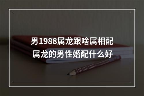 男1988属龙跟啥属相配 属龙的男性婚配什么好