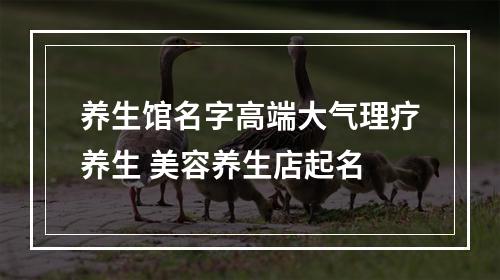 养生馆名字高端大气理疗养生 美容养生店起名