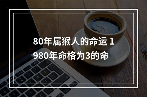 80年属猴人的命运 1980年命格为3的命