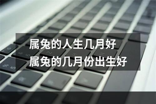 属兔的人生几月好 属兔的几月份出生好