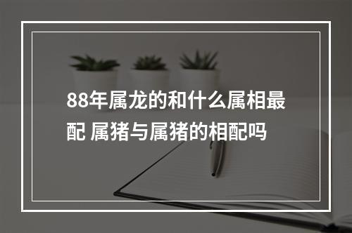 88年属龙的和什么属相最配 属猪与属猪的相配吗