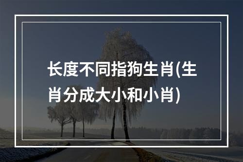 长度不同指狗生肖(生肖分成大小和小肖)