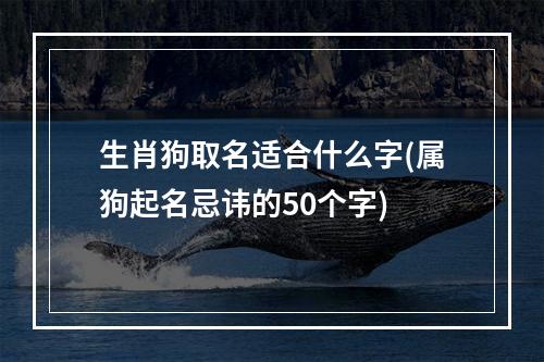 生肖狗取名适合什么字(属狗起名忌讳的50个字)