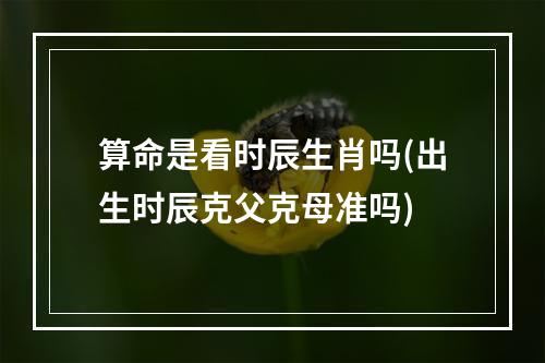 算命是看时辰生肖吗(出生时辰克父克母准吗)