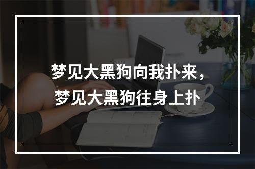 梦见大黑狗向我扑来， 梦见大黑狗往身上扑