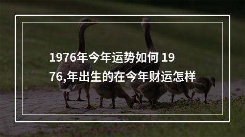1976年今年运势如何 1976,年出生的在今年财运怎样