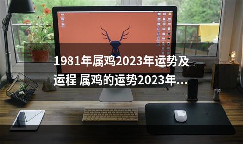 1981年属鸡2023年运势及运程 属鸡的运势2023年运程