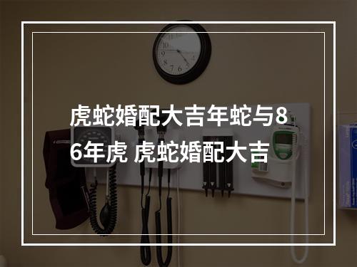 虎蛇婚配大吉年蛇与86年虎 虎蛇婚配大吉