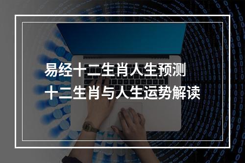 易经十二生肖人生预测 十二生肖与人生运势解读