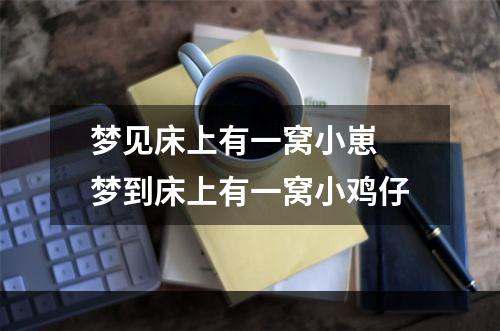 梦见床上有一窝小崽 梦到床上有一窝小鸡仔