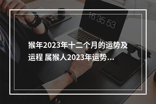 猴年2023年十二个月的运势及运程 属猴人2023年运势运程每月运程