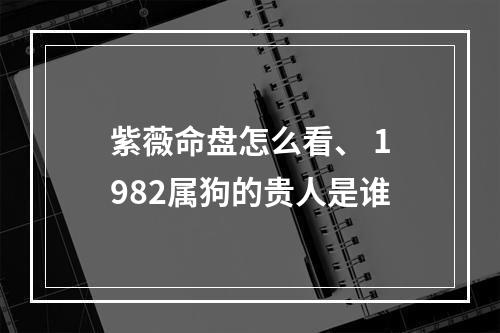 紫薇命盘怎么看、 1982属狗的贵人是谁