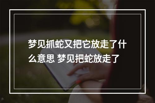 梦见抓蛇又把它放走了什么意思 梦见把蛇放走了