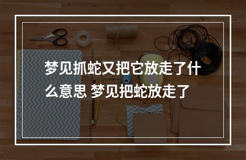 梦见抓蛇又把它放走了什么意思 梦见把蛇放走了