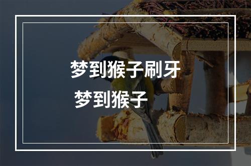 梦到猴子刷牙 梦到猴子