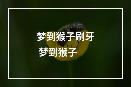 梦到猴子刷牙 梦到猴子