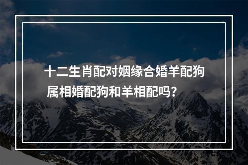 十二生肖配对姻缘合婚羊配狗 属相婚配狗和羊相配吗？