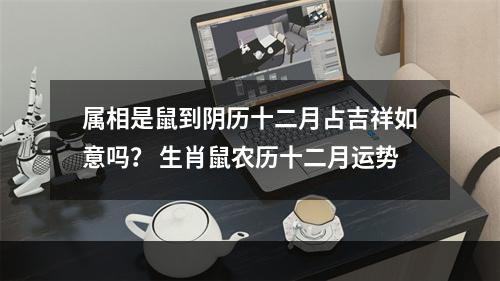 属相是鼠到阴历十二月占吉祥如意吗？ 生肖鼠农历十二月运势
