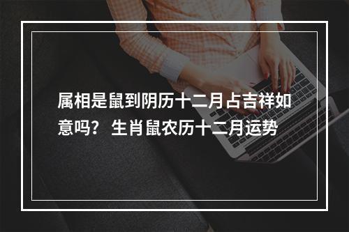 属相是鼠到阴历十二月占吉祥如意吗？ 生肖鼠农历十二月运势