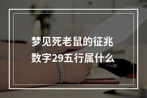 梦见死老鼠的征兆 数字29五行属什么