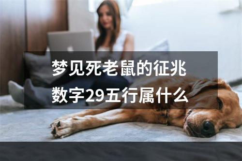 梦见死老鼠的征兆 数字29五行属什么