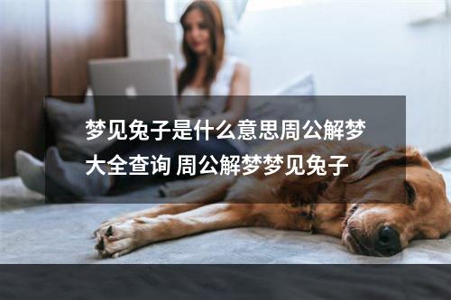 梦见兔子是什么意思周公解梦大全查询 周公解梦梦见兔子