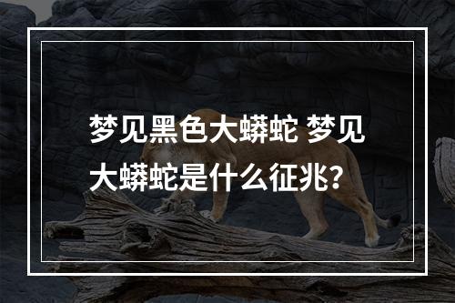 梦见黑色大蟒蛇 梦见大蟒蛇是什么征兆？