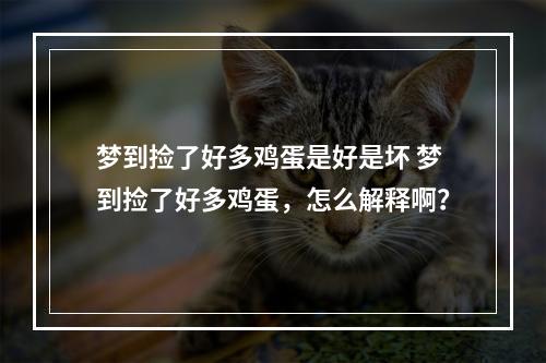 梦到捡了好多鸡蛋是好是坏 梦到捡了好多鸡蛋，怎么解释啊？
