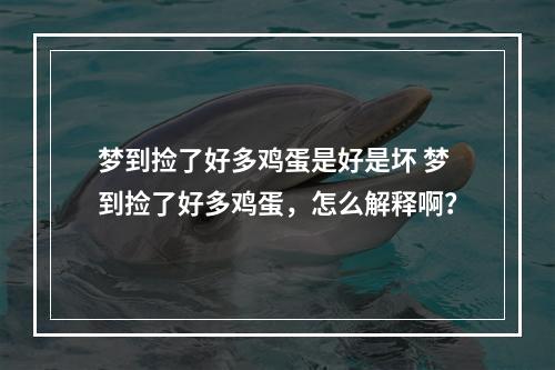 梦到捡了好多鸡蛋是好是坏 梦到捡了好多鸡蛋，怎么解释啊？