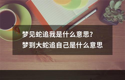 梦见蛇追我是什么意思？ 梦到大蛇追自己是什么意思
