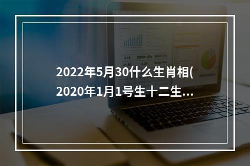 2022年5月30什么生肖相(2020年1月1号生十二生肖相合)