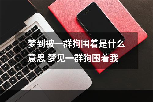 梦到被一群狗围着是什么意思 梦见一群狗围着我