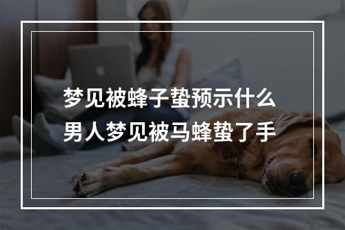 梦见被蜂子蛰预示什么 男人梦见被马蜂蛰了手