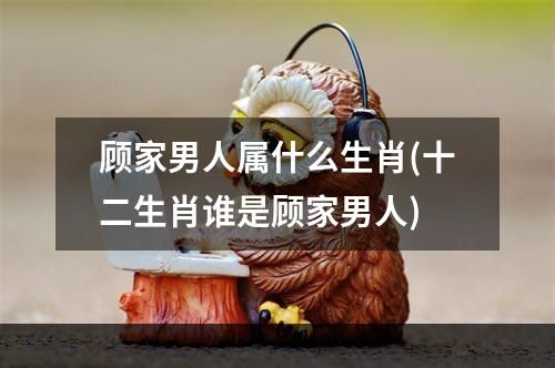 顾家男人属什么生肖(十二生肖谁是顾家男人)