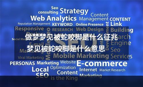 做梦梦见被蛇咬脚是什么征兆 梦见被蛇咬脚是什么意思