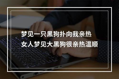 梦见一只黑狗扑向我亲热 女人梦见大黑狗很亲热温顺