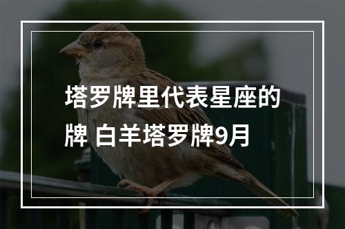 塔罗牌里代表星座的牌 白羊塔罗牌9月