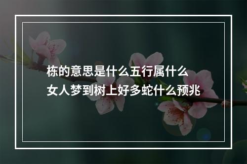 栋的意思是什么五行属什么 女人梦到树上好多蛇什么预兆
