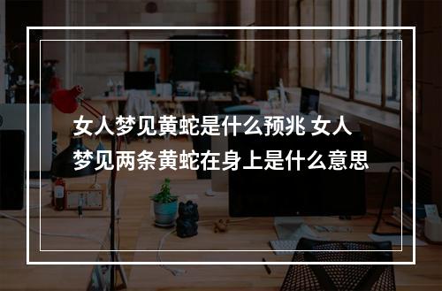 女人梦见黄蛇是什么预兆 女人梦见两条黄蛇在身上是什么意思