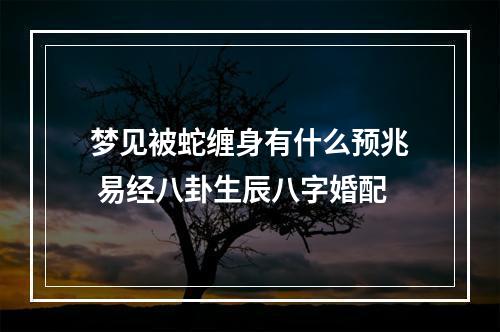 梦见被蛇缠身有什么预兆 易经八卦生辰八字婚配