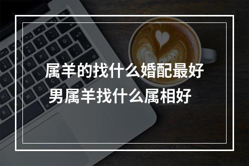 属羊的找什么婚配最好 男属羊找什么属相好