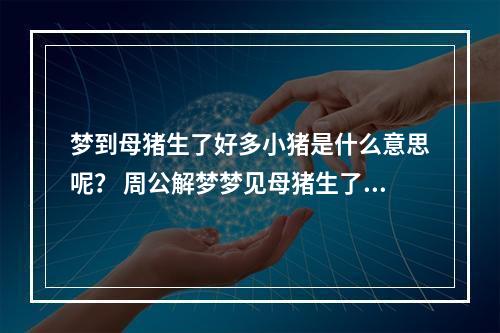 梦到母猪生了好多小猪是什么意思呢？ 周公解梦梦见母猪生了一窝小猪